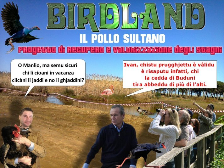 finalissima-pollosultano_1.jpg