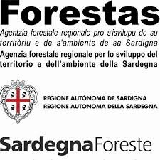 BUDONI: CONSIGLIO COMUNALE - SEDUTA STRAORDINARIA 30/11/17: BUDONI: CONSIGLIO COMUNALE - SEDUTA STRAORDINARIA 30/11/17:
