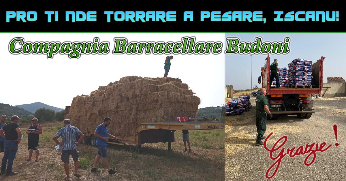 "Pro ti nde torrare a pesare, Iscanu! "Pro ti nde torrare a pesare, Iscanu!