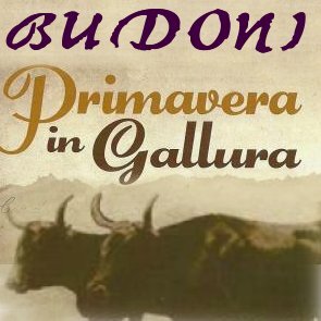 Budoni: aperte le iscrizioni per "Stazzi e Cussogghji 2017". Budoni: aperte le iscrizioni per "Stazzi e Cussogghji 2017".