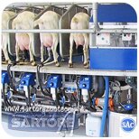 e83ffea6-185c-41ab-9827-f0c70803561a