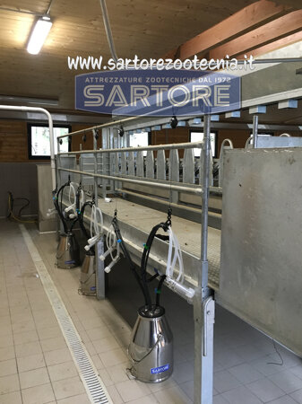 impianto di mungitura a secchi per capre