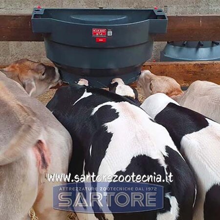 secchio allattamento vitelli milk bar