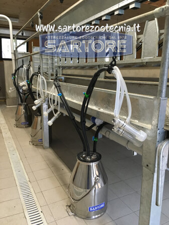 impianto di mungitura a secchi per capre