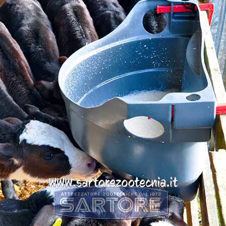secchio allattamento vitelli milk bar