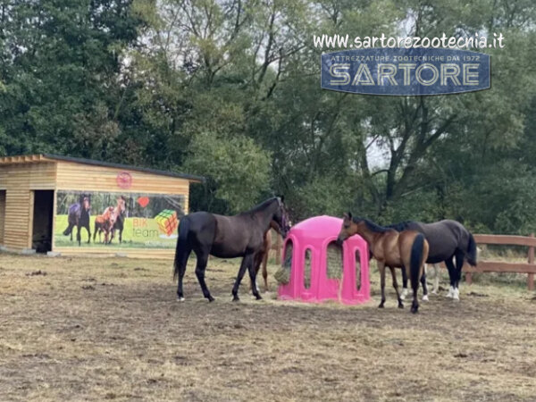 campana portafieno rosa pink per cavalli campana portafieno rosa pink per cavalli