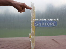 efe36fa4-9d7a-4b66-959b-a7812b4f5699 efe36fa4-9d7a-4b66-959b-a7812b4f5699