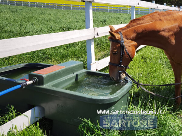 Abbeveratoio doppio da pascolo 450 litri