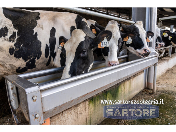 Abbeveratoio in acciaio inox