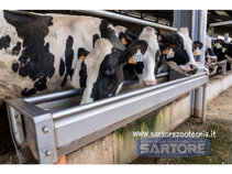 318881c1-4e0c-4786-9c4c-b4050c514989