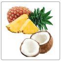 cocco e ananas.jpeg