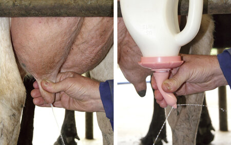 3017c626-e67c-4291-a488-f655ccfa44b0 3017c626-e67c-4291-a488-f655ccfa44b0