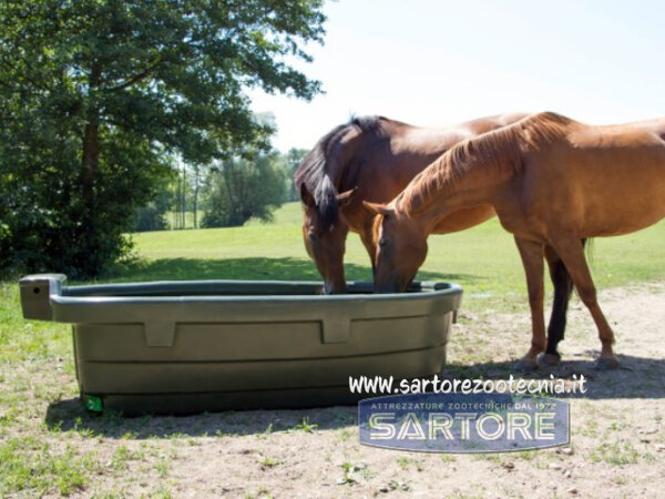 Abbeveratoio da pascolo