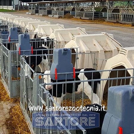 secchio allattamento vitelli milk bar