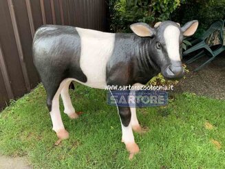 7b169338-badf-4bc4-86df-82a6b6663b8b