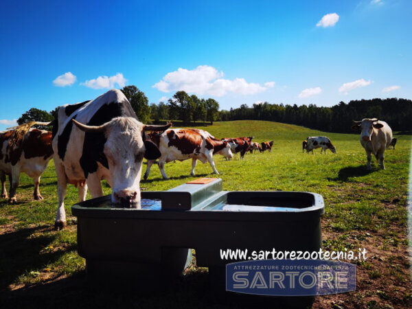 Abbeveratoio doppio da pascolo 450 litri