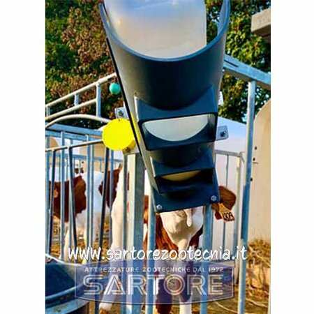 bottiglia allattamento vitelli milk bar