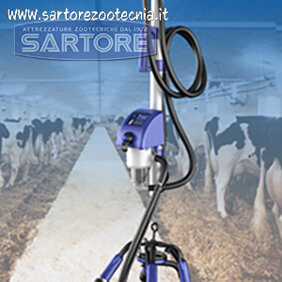 b556e754-ffb5-4767-a5ae-5129615ec827