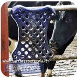 35d20dd1-85b3-4844-9538-a2577aff2bfb