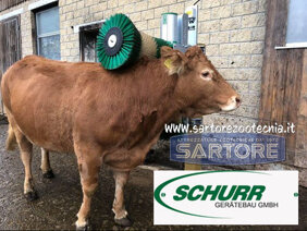 66adee42-129d-4a47-aa00-a079fafe4c62