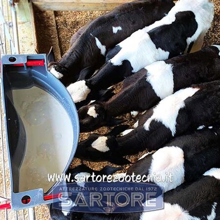 secchio allattamento vitelli milk bar