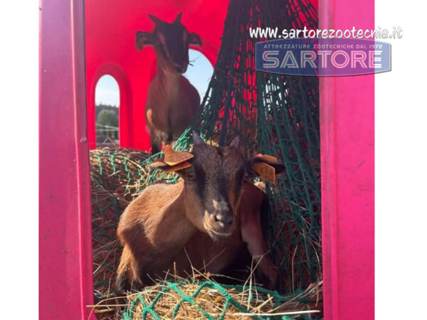 campana portafieno rosa pink campana portafieno rosa pink