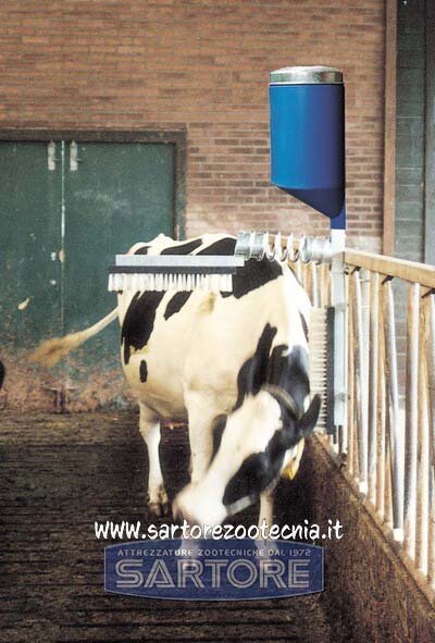 2ea11c39-c595-4e46-ba4f-f67c46a172e0 2ea11c39-c595-4e46-ba4f-f67c46a172e0