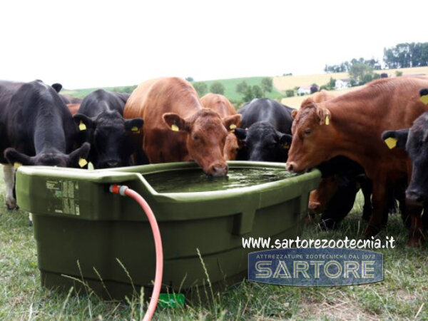 Abbeveratoio da pascolo