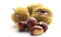 castagne.jpeg
