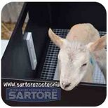 c8142517-f609-4f55-a01e-d96e959205b8