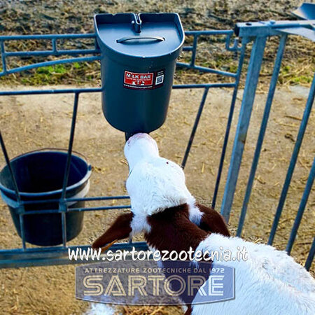 secchio allattamento vitelli milk bar