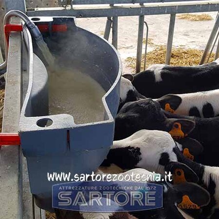 secchio allattamento vitelli milk bar