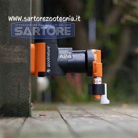 trappola per topi Gallagher