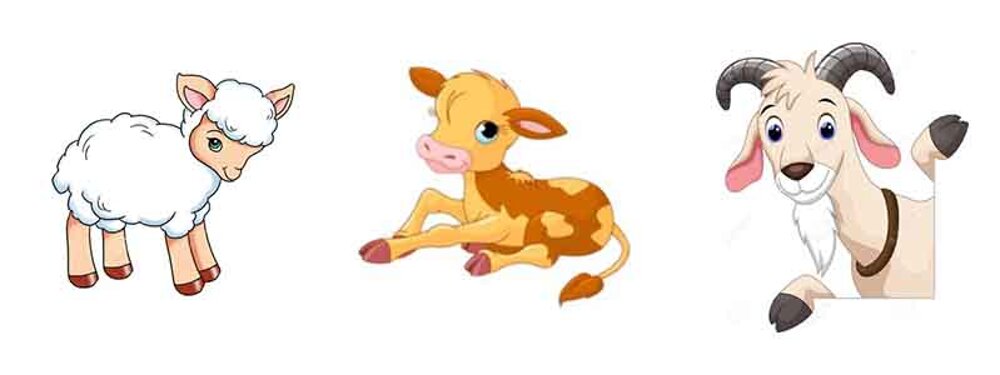 3d9f3cf9-9594-409f-b823-2d05ef9c8fa8