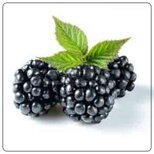 4bd24d9c-2205-42d2-8994-42e0563db821