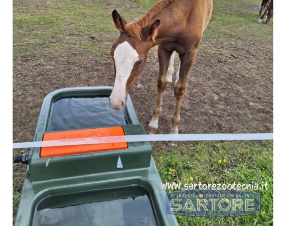 Abbeveratoio doppio 230 litri