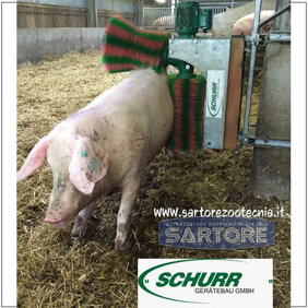 4537a52e-42e7-4d7d-a218-4696c3e64129