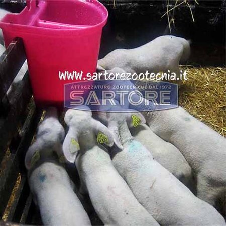 secchio allattamento capretti milk bar