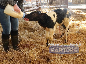 fea318b9-8916-4c50-b1a3-6ed8da621a1e fea318b9-8916-4c50-b1a3-6ed8da621a1e