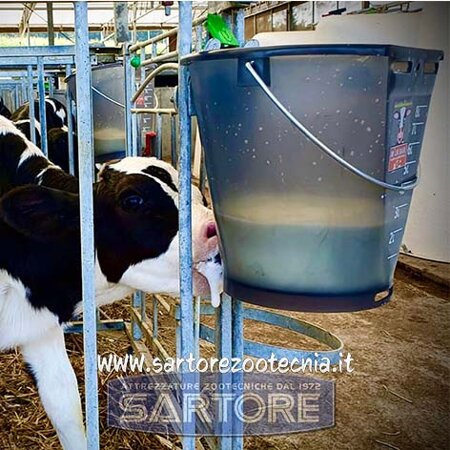 secchio allattamento vitelli milk bar