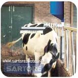 d151767a-2e39-4fae-a186-b88cb4acfc73