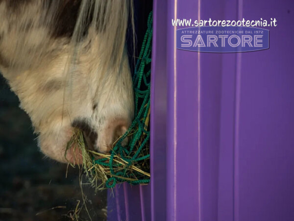 CAMPANA PORTAFIENO VIOLA PER CAVALLI CAMPANA PORTAFIENO VIOLA PER CAVALLI