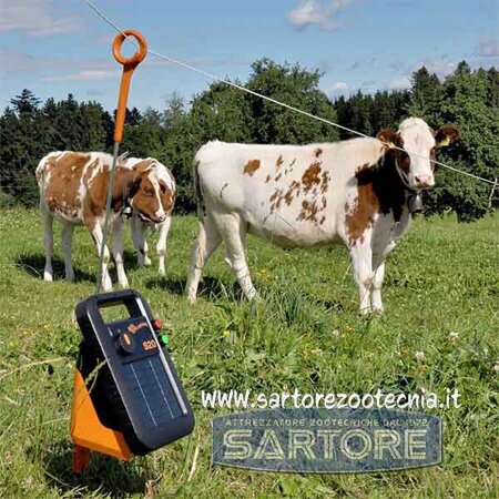 Elettrificatore Gallagher S20 Elettrificatore Gallagher S20