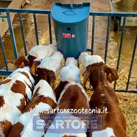 secchio allattamento vitelli milk bar