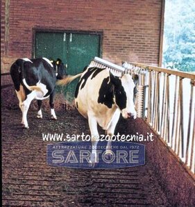 4acdf04b-a2c1-4b17-ba1e-95615a040f18