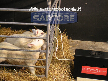 f66b6843-2a70-4184-becb-4247c88b9d19