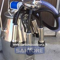 secchio di mungitura in acciaio inox per bovini