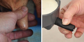 05f8fc0a-e7af-41ac-9d9e-90fca672705e