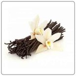 4f92f539-9cce-44d7-8a23-0b34319b591b