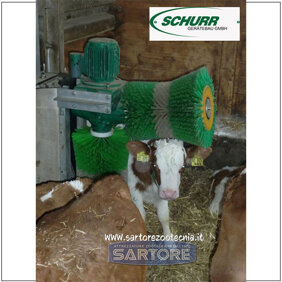 e1486518-924e-4cc1-800e-6a1553299b11